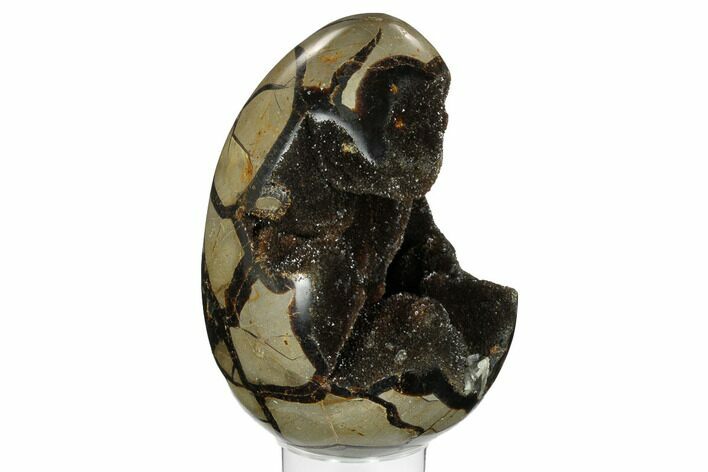 Septarian Dragon Egg Geode - Black Crystals #172800